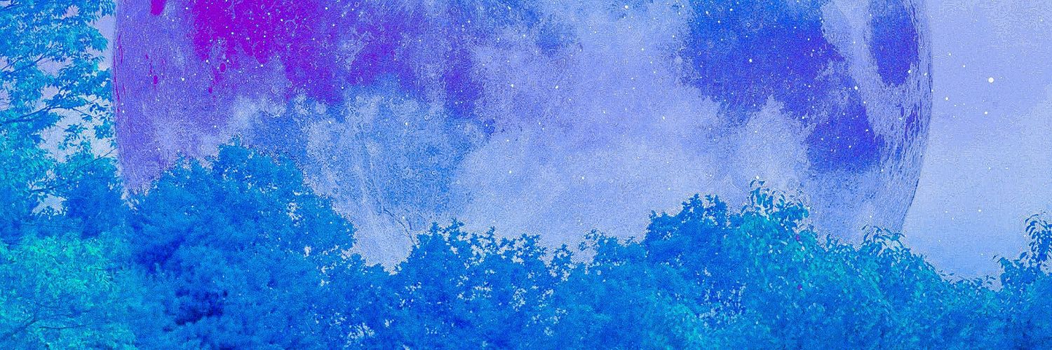 dobbymognon's profile banner image