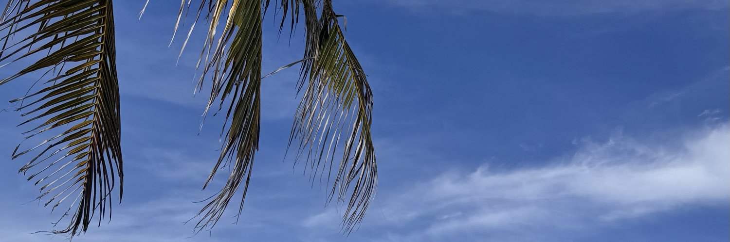 rambenjamins's profile banner image