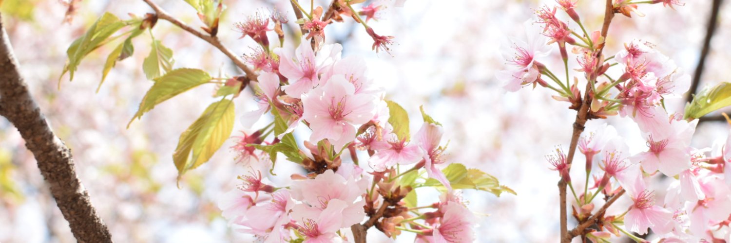 JeniiSuicide's profile banner image