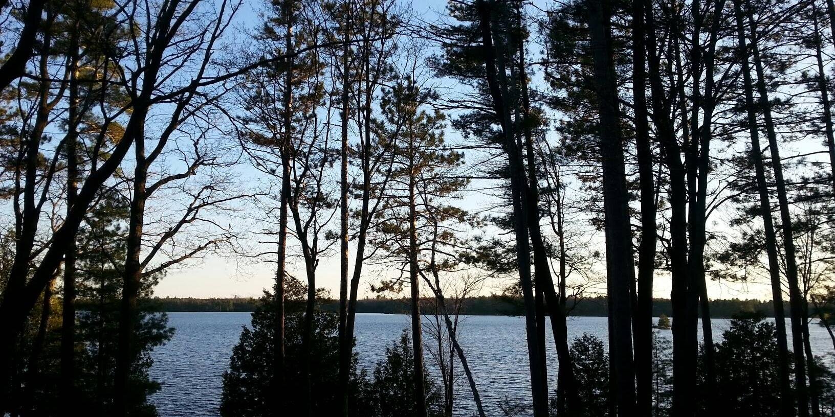 susanhimel's profile banner image