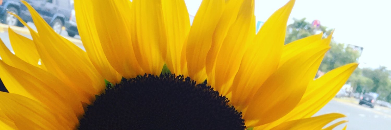 joannysmaysonet's profile banner image