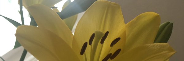 NadineKLB Profile Banner
