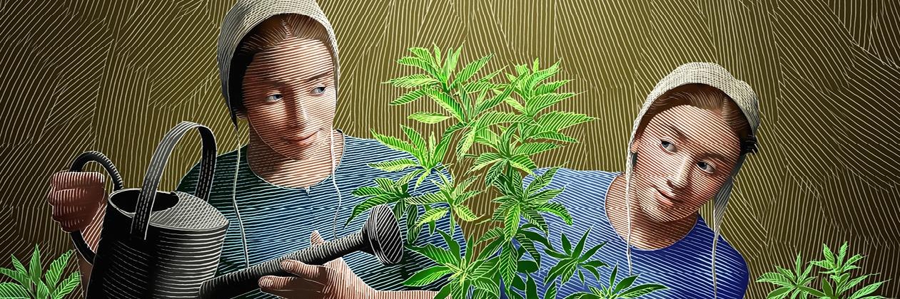 Grow 🌿🎵 banner