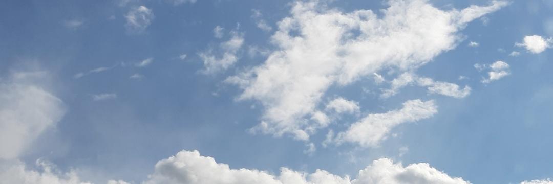 ✨24/7 verwirrt✨ banner