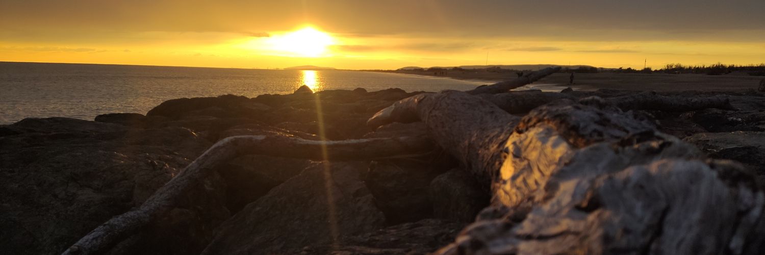 Moha 🇲🇦 banner