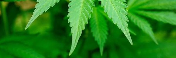 captmkg Profile Banner