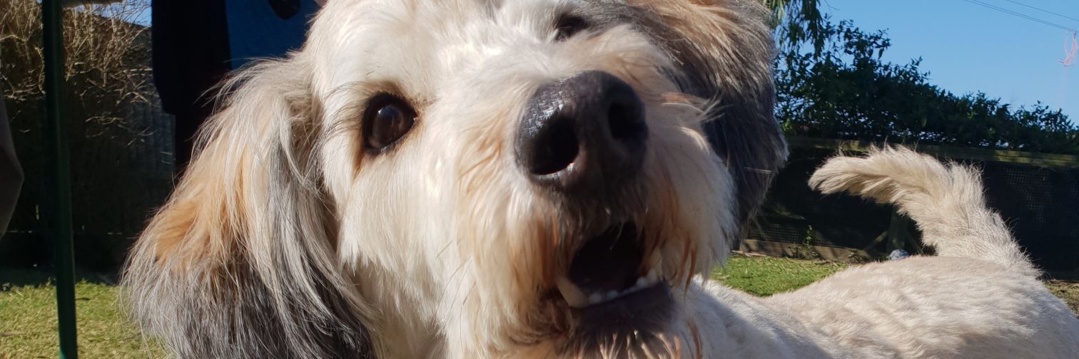 Heyyychicka1's profile banner image
