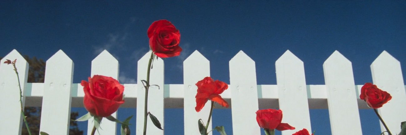 valengrabowski's profile banner image