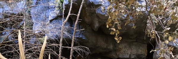 KaiPeiLi Profile Banner