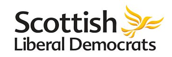 LibDemSally Profile Banner