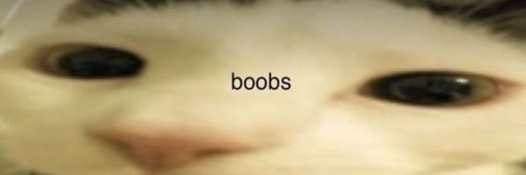 BluePaula11's profile banner image