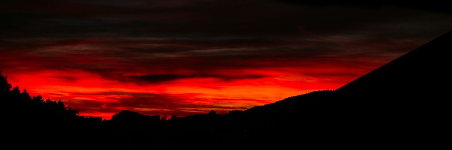 Bezerro de Ouro banner