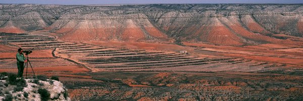 SEO_Aragon Profile Banner