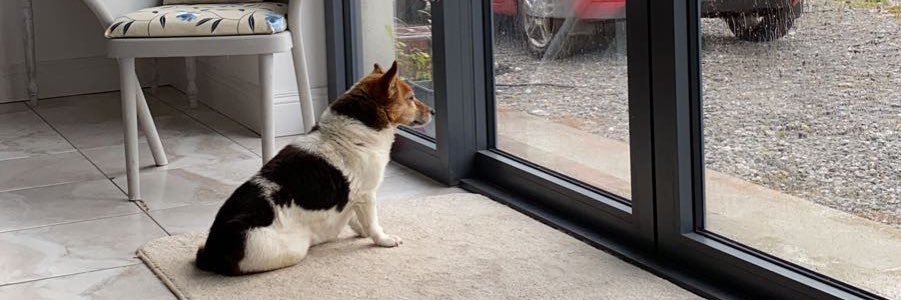 Emma bickerdike banner