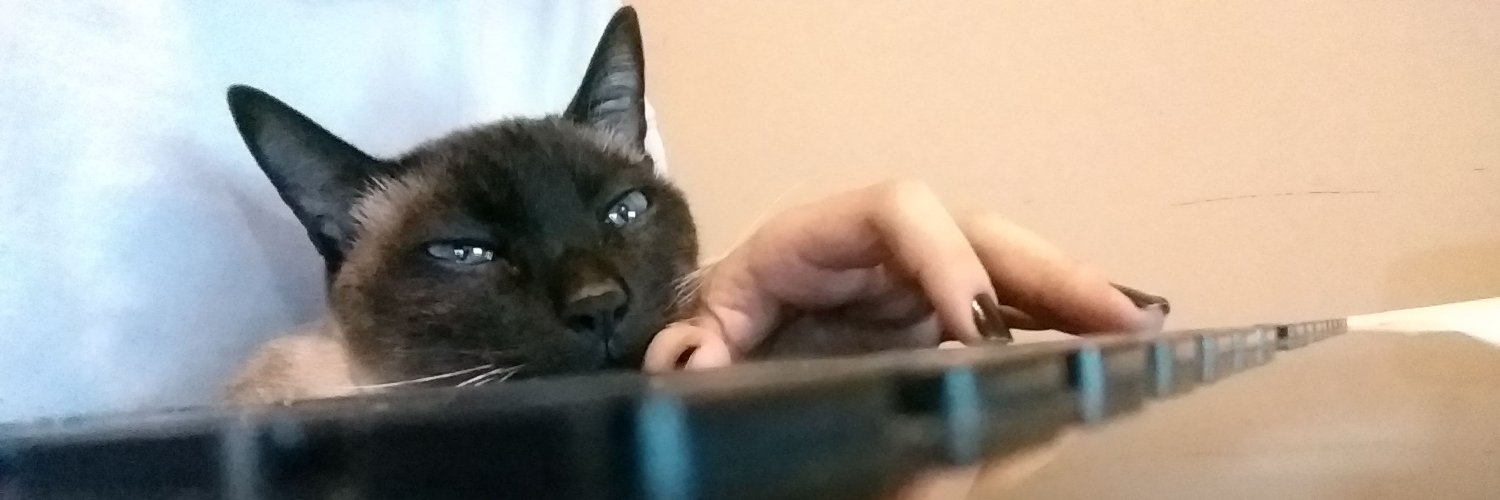 _decarlini_'s profile banner image