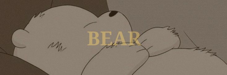 ʙᴇᴀʀ ᵔᴥᵔ banner