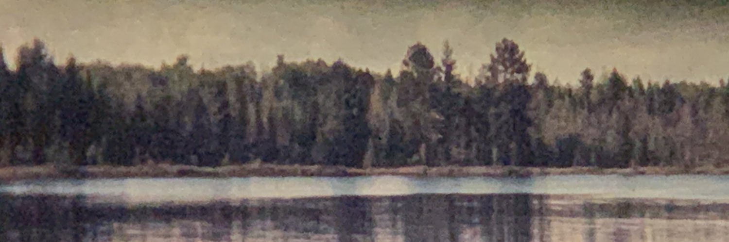 Molly Brakhane banner