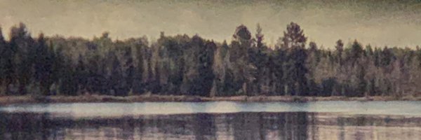 MBrakhane Profile Banner