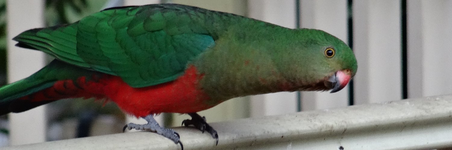 JAZZY J (we live in a) banner