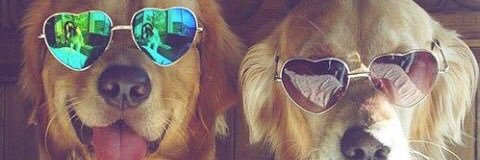 spaceylacey08's profile banner image