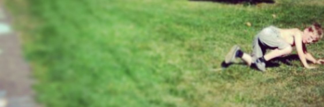 Alisha banner