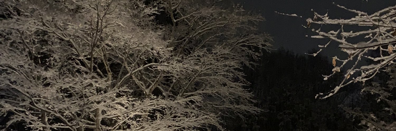 ennori's profile banner image