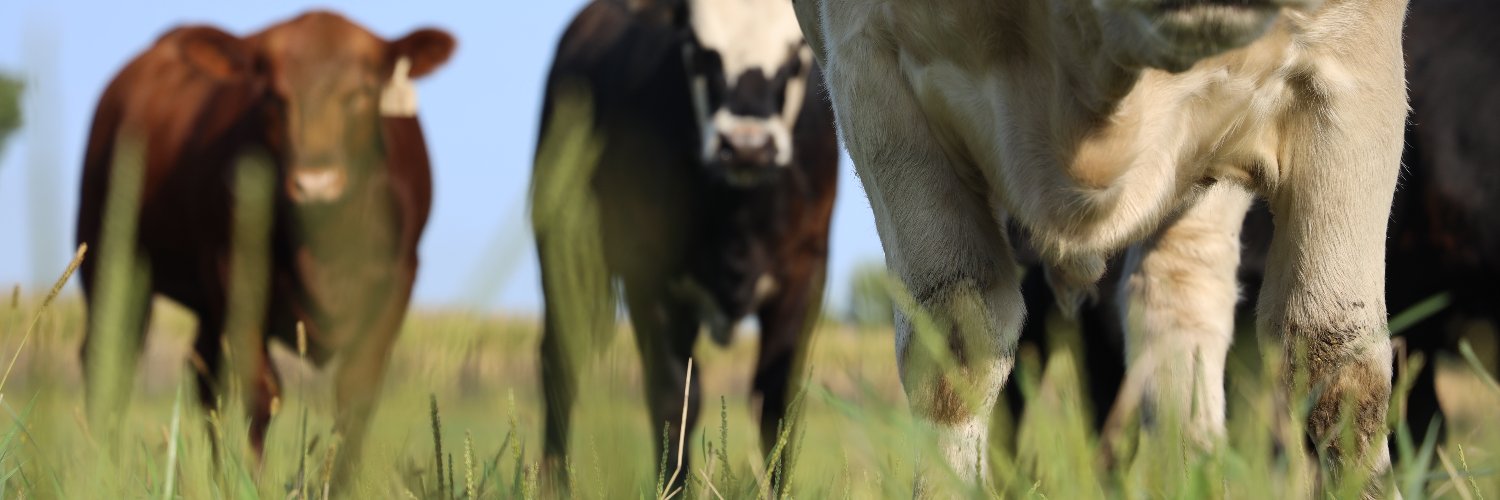 FarmStoryMeats's profile banner image
