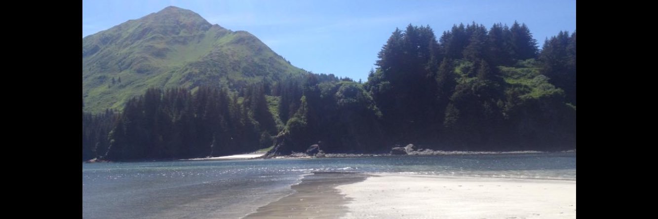 Alexandra Otto banner