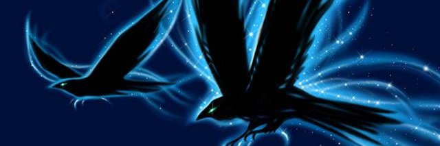tani7g's profile banner image