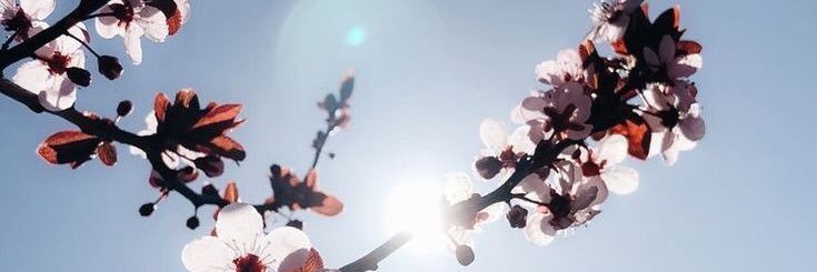 Moct94's profile banner image