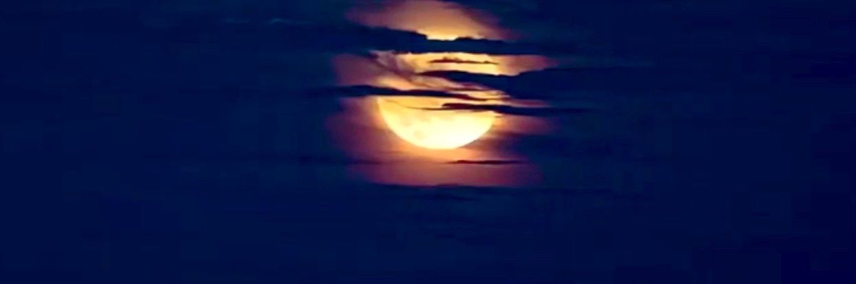 MotherGoose 🪿 banner