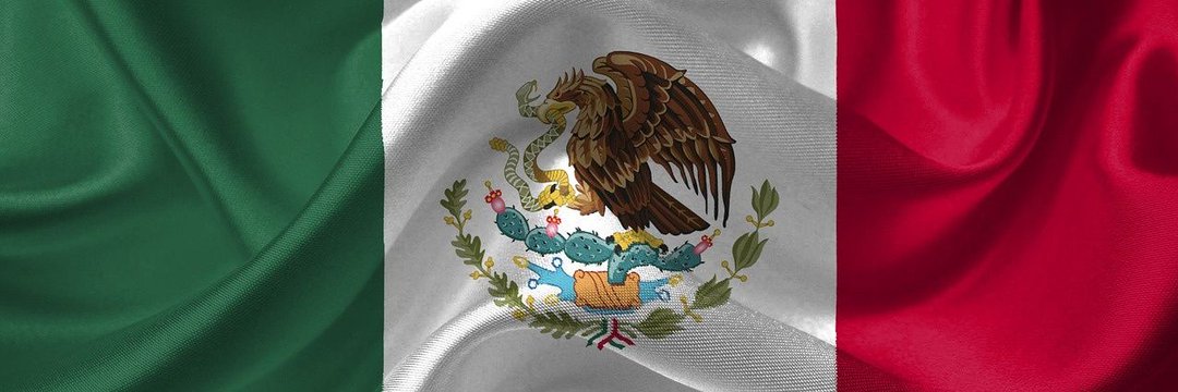 Camarada Seguroski banner