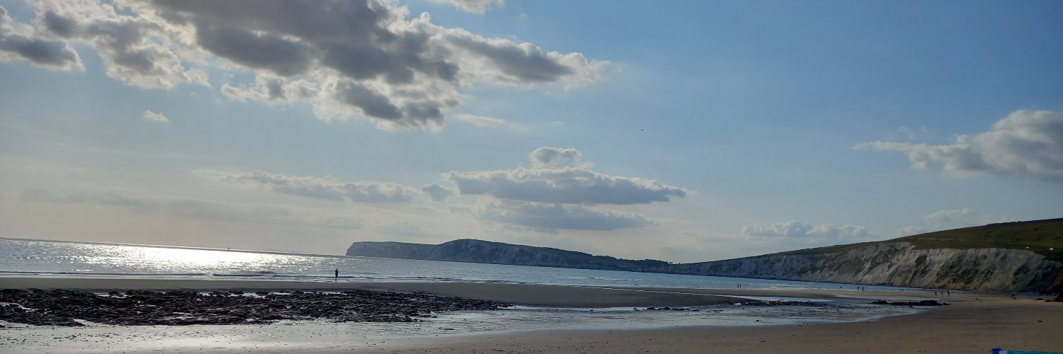 Judith Robinson banner