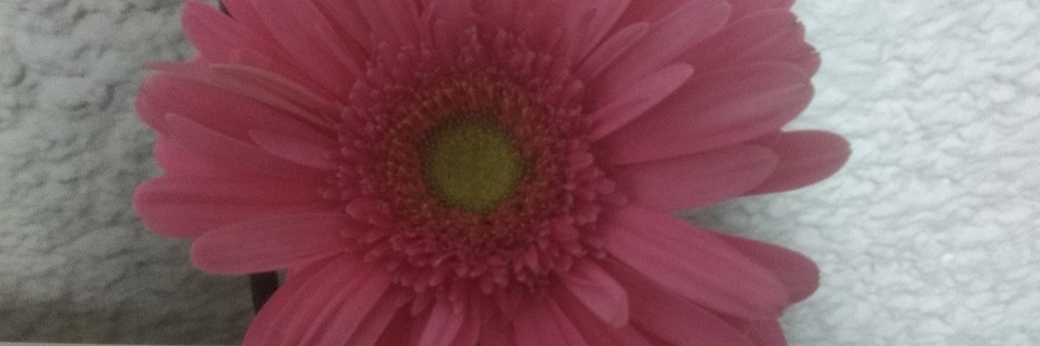 XimenaGLoz's profile banner image