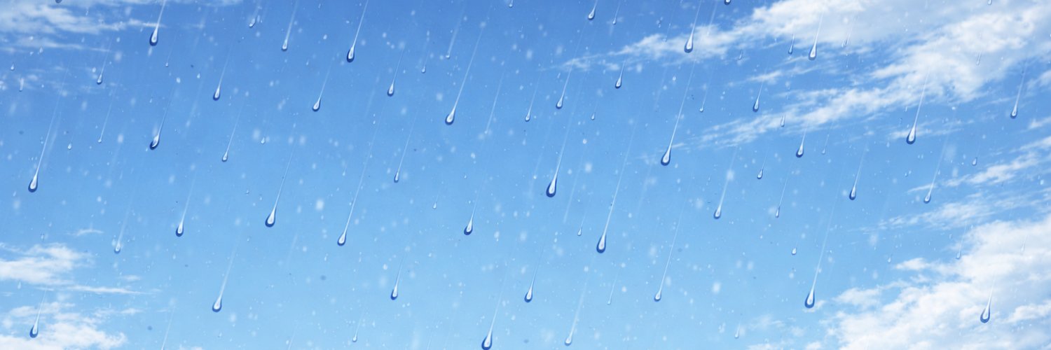 Raleigh Weather banner