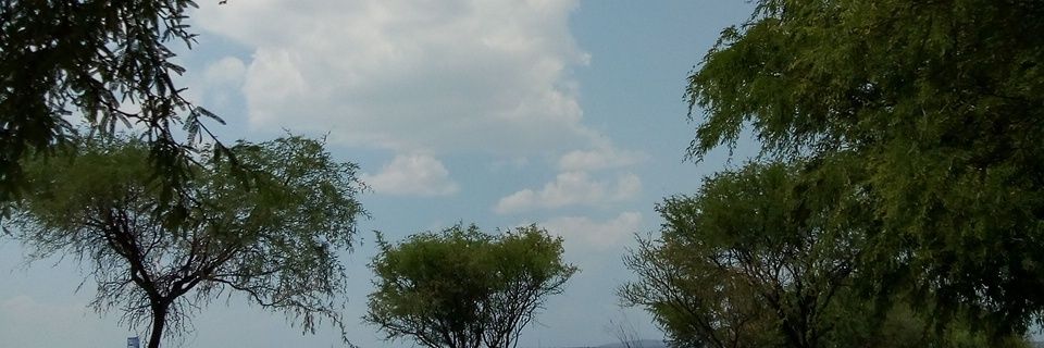 arma_do's profile banner image