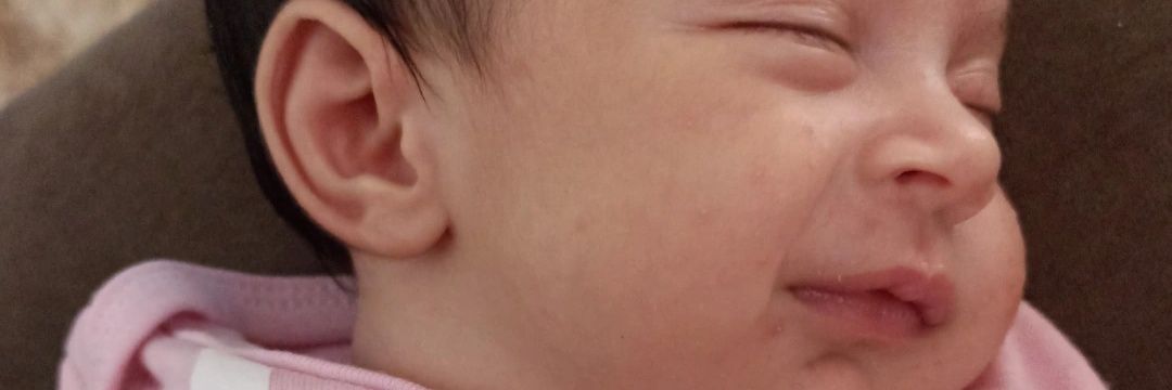 Dinda da Eliza (alienada no bbb) banner