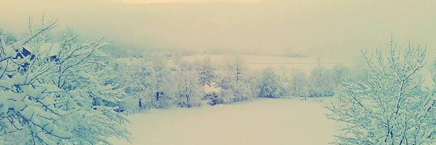 ⏩🇷🇸ℤ𝕖𝕝𝕛o.a-🇷🇸 banner