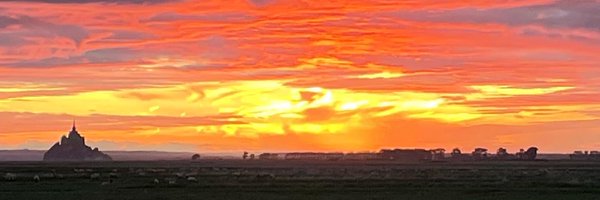 LaRobiquette Profile Banner