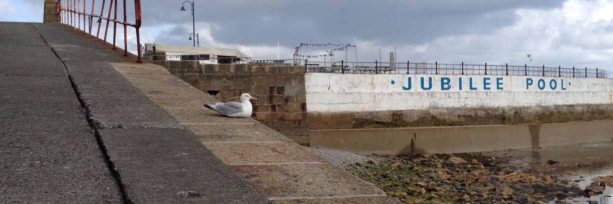 Stuart Purfield banner