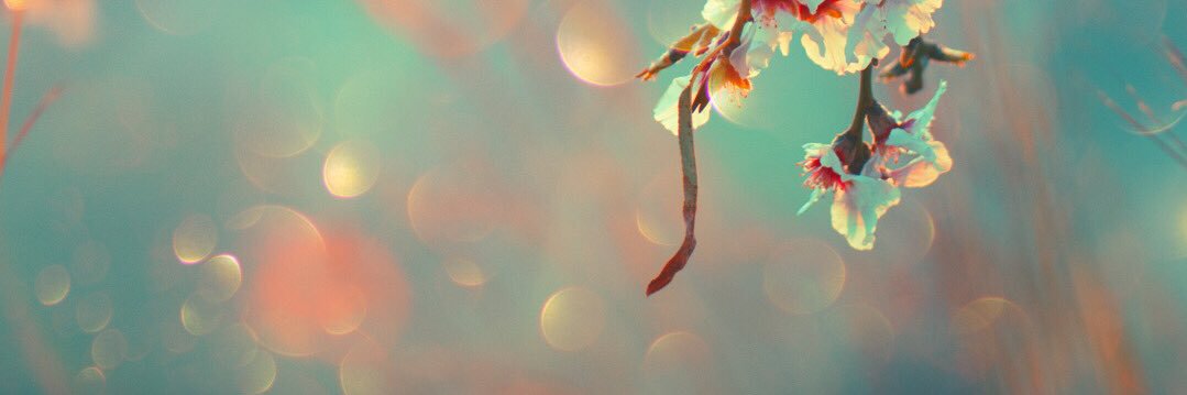 MevludeEROGLU's profile banner image