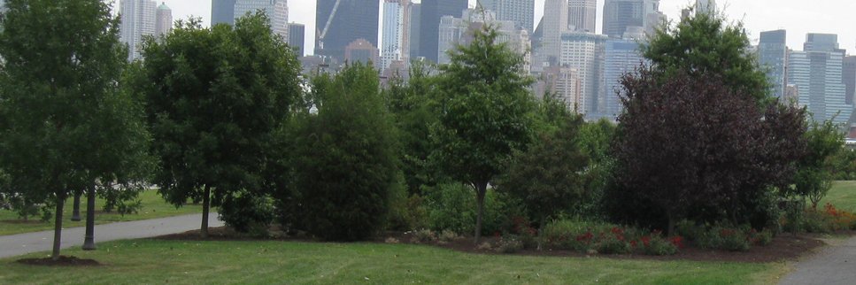 NJ Tree Foundation banner