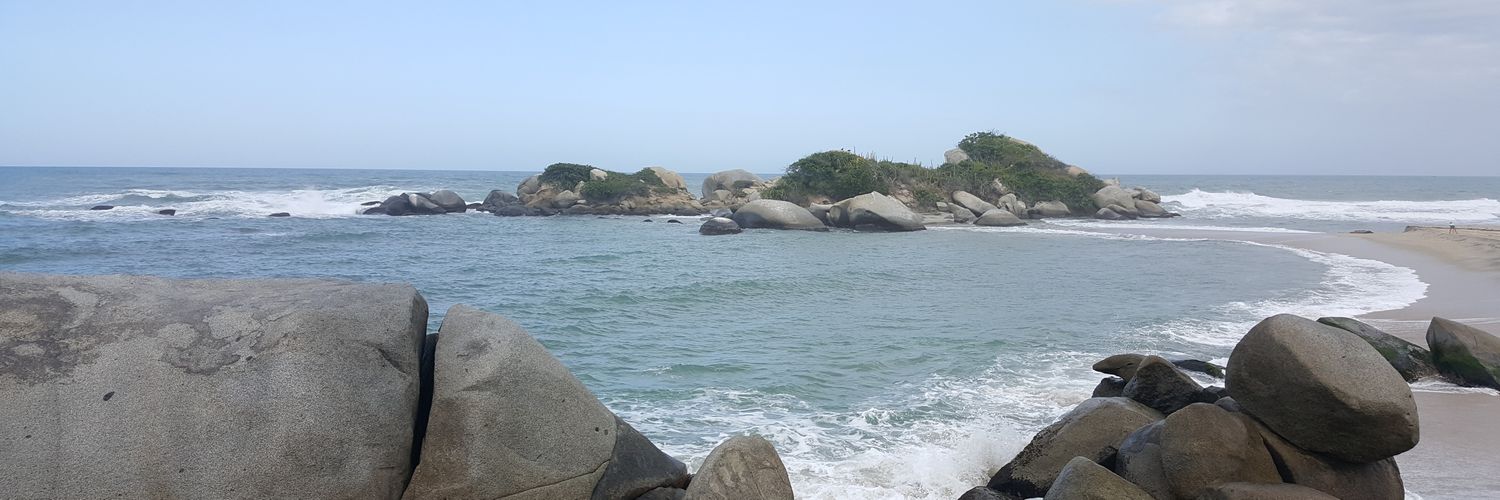 nataliagri's profile banner image