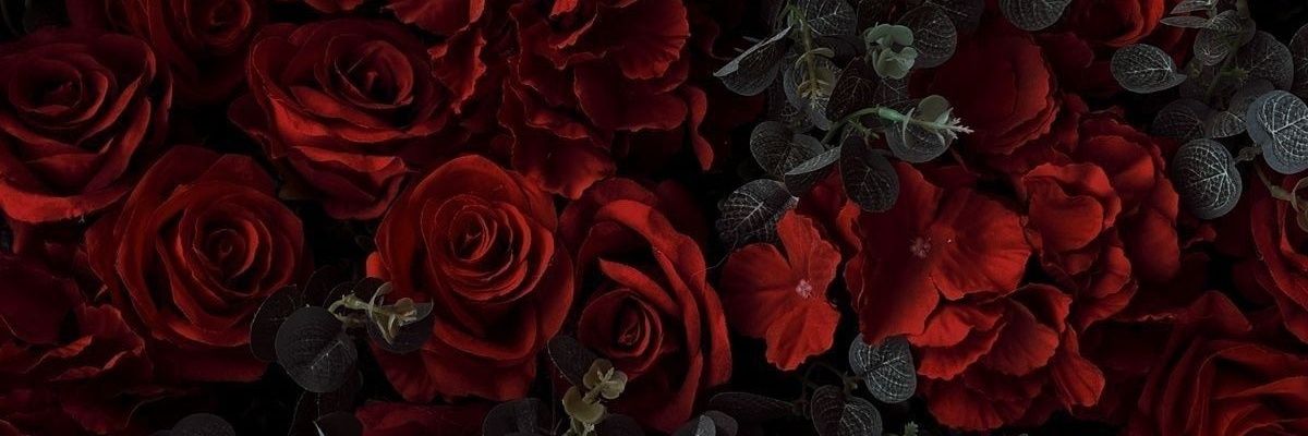 iReen banner