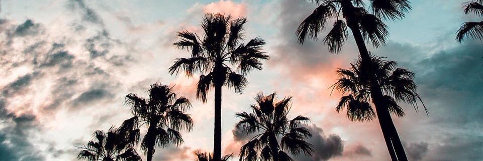 xtephanie_'s profile banner image