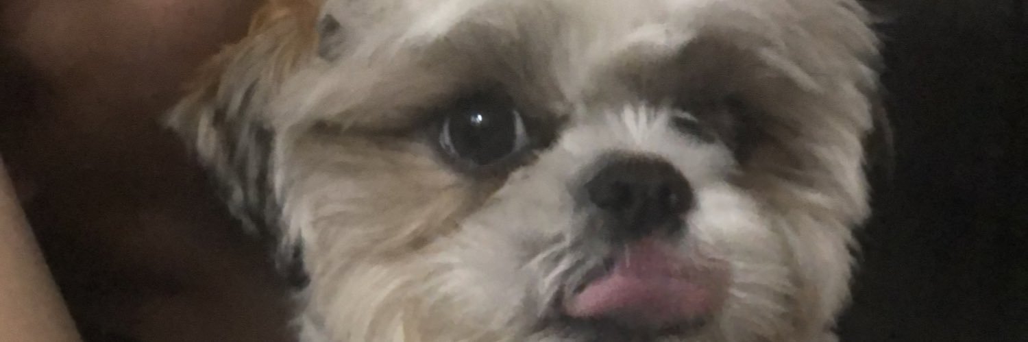 yookaren's profile banner image