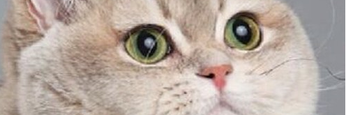 elkreshs's profile banner image