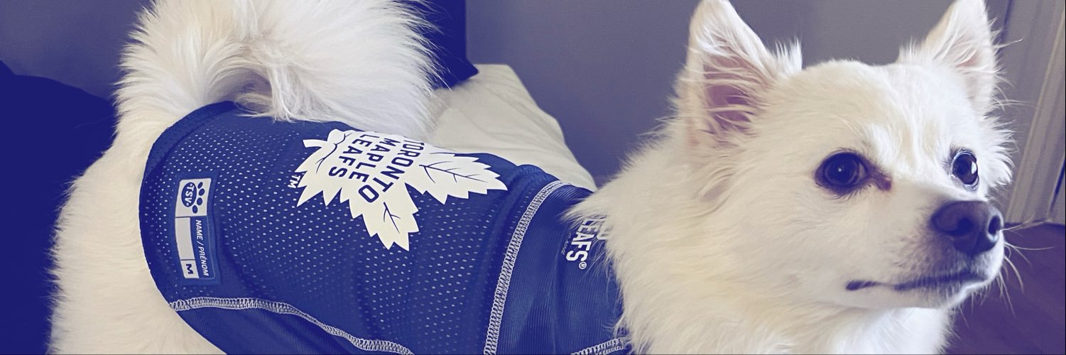 Mello_RL's profile banner image
