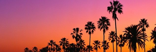 Cobraaa09's profile banner image