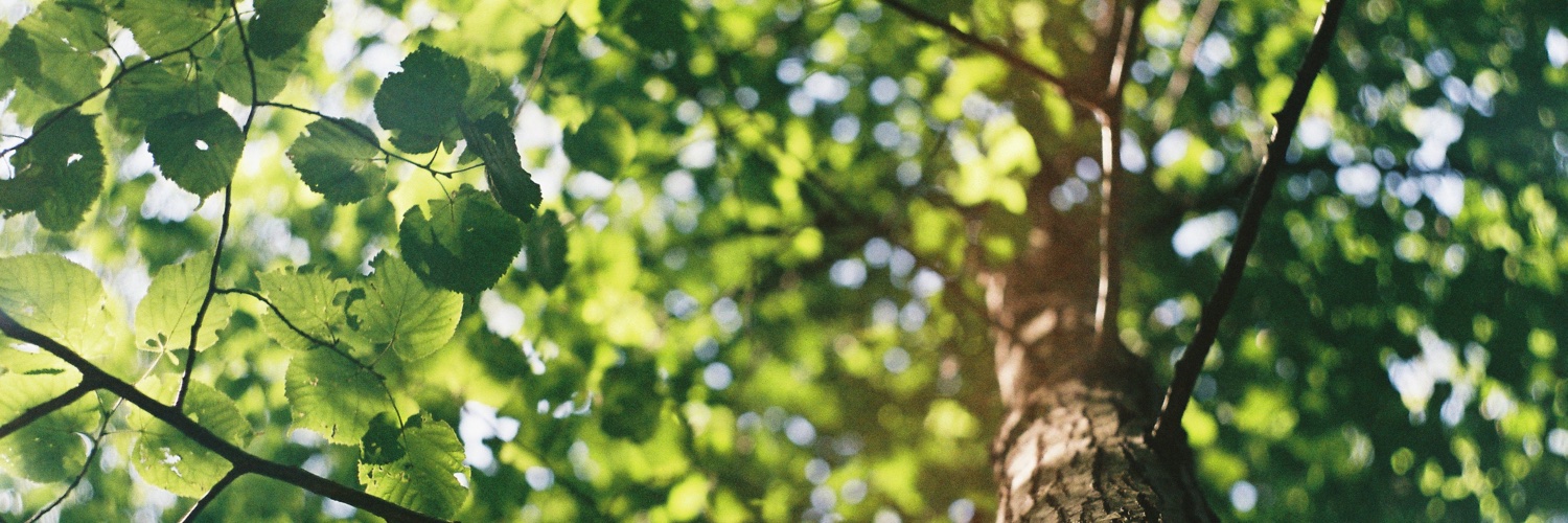 Mirthe_'s profile banner image